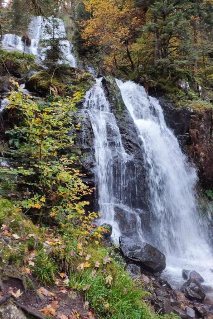 Charmant Gite, Au Calme, Avec Vue Imprenable Sur La Nature Environnante Deycimont Exterior photo